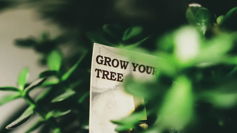 Common Wellness Mistakes That Affect Your Health